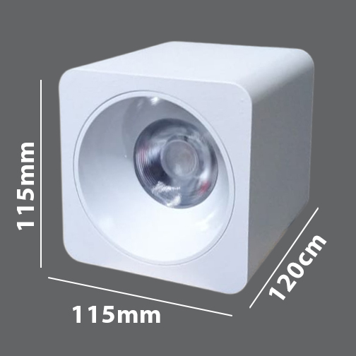 Down Light - A-EF-DLN-152